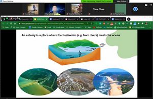 A screen capture of a lesson plan about estuaries.