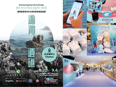 Snap, Play & Discover! Explore Ocean Wonders with the Whole Family at Cityplaza