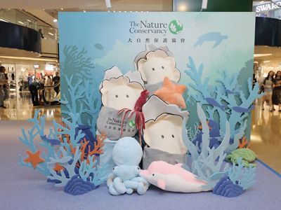 a vibrant photo corner featuring giant plush baby oysters and a cast of colorful underwater characters