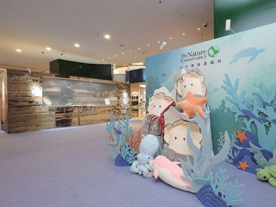 Snap, Play & Discover! Explore Ocean Wonders with the Whole Family at Cityplaza