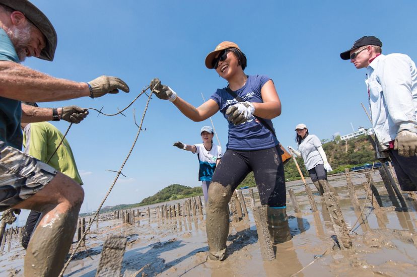 A group of people stand in shallow water and mud tying rope to short posts building an oyster reef.