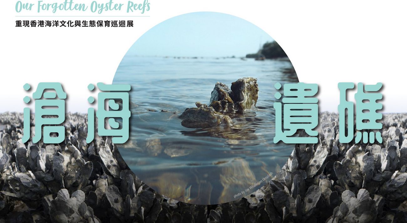 Reviving Hong Kong's Ocean Heritage: Our Forgotten Oyster Reefs