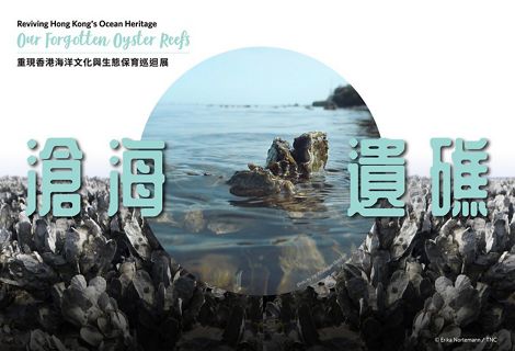 TNC's inaugural roving exhibition, “Reviving Hong Kong's Ocean Heritage: Our Forgotten Oyster Reefs”, debuting in 2025.