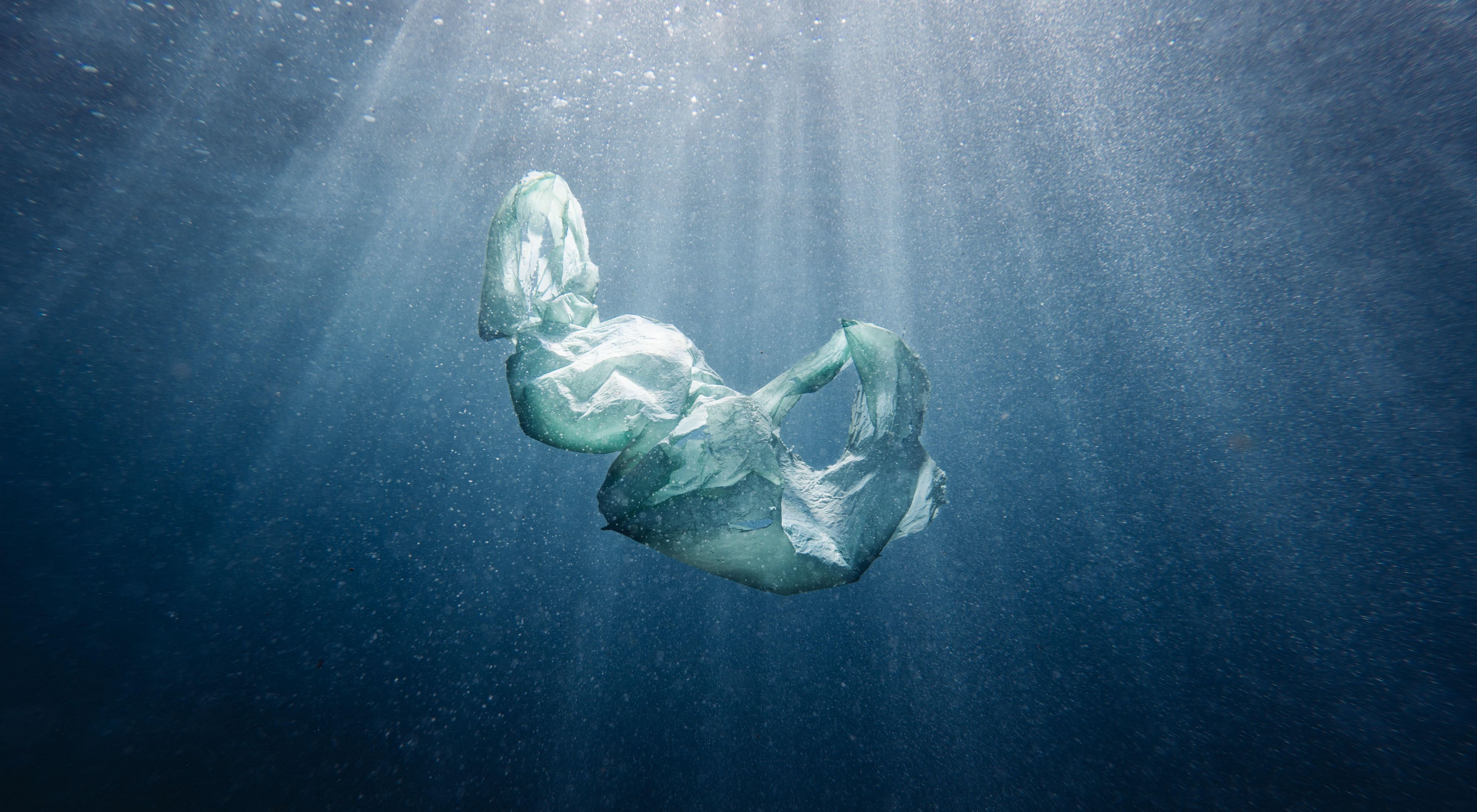 A plastic bag floats in water.
