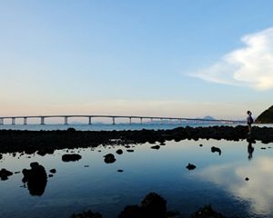 Tai O
