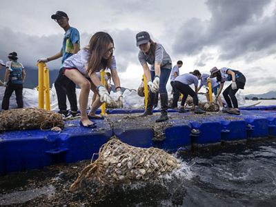 Members of TNC Hong Kong team deploying recycled oyster shells into the Tolo Harbour in June 2022