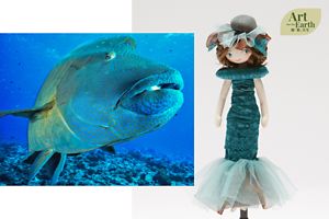 Humphead Wrasse