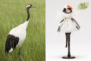 Red-Crowned Crane 