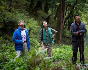 Catch a glimpse of Yunnan Golden Monkeys with Karen Mok