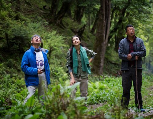 Catch a glimpse of Yunnan Golden Monkeys with Karen Mok