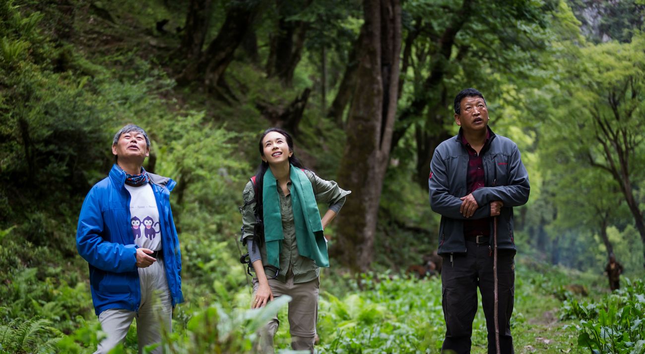 Ms. Karen Mok visit our Yunnan Golden Monkey