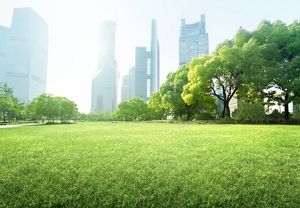 New York City Skyline