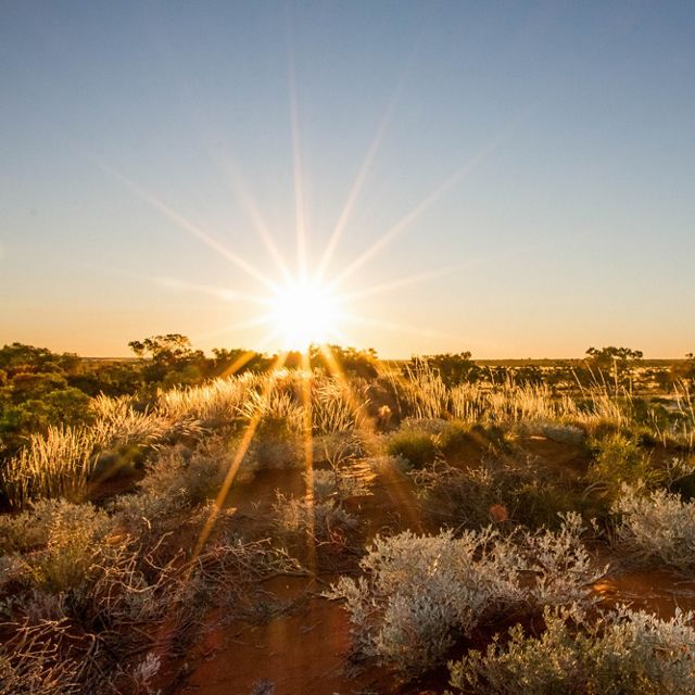 Arid land in Australia