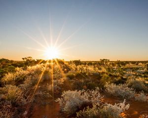 Arid land in Australia