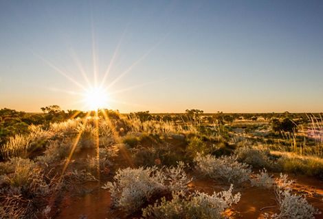 Arid land in Australia