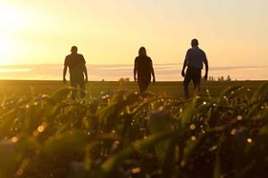 Three people walking on farm at sunset