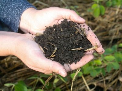 close up of two hands with soil.