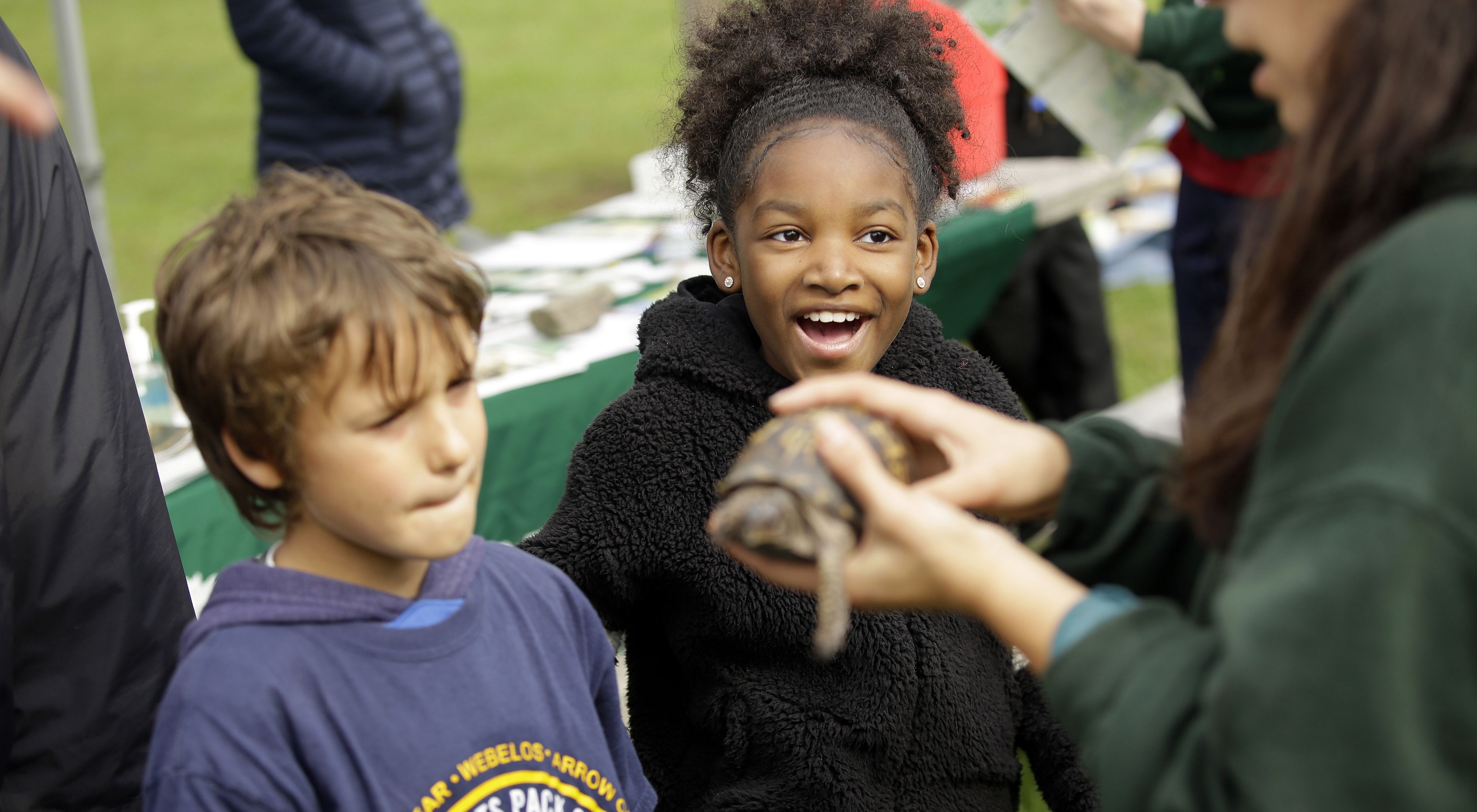 Kids looking at a turtle at the Awe of Nature Festival