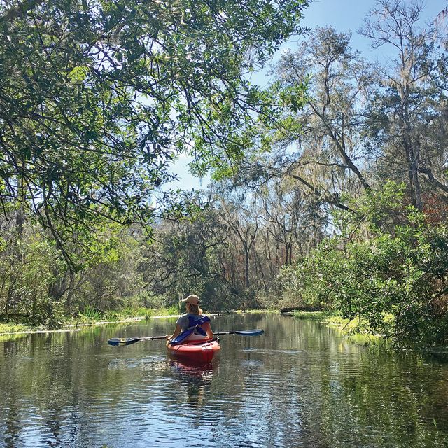 Kayak paddle along a waterway