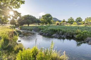 Sunlight shines through trees surrounded by a blue creek and towering mesas.