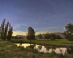 A pond surrounded by trees and towering plateaus is illuminated by fireflies and stars.