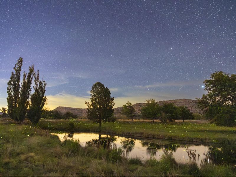 A pond surrounded by trees and towering plateaus is illuminated by fireflies and stars.