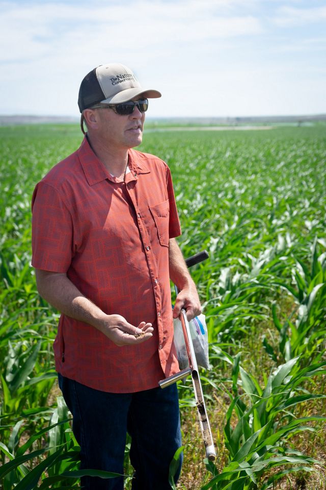 Brad Johnson stands in a field of corn with seeds in his hand. 