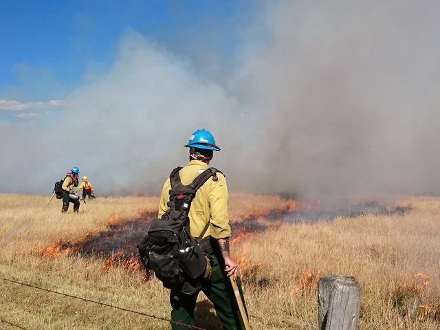 Fire crew members in protective gear arrayed over grasslands with patches of burning grass.