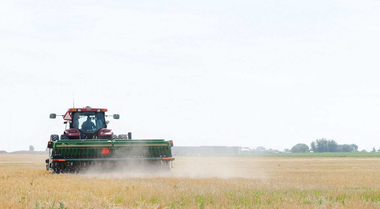 Dust blows up from a tractor in a dry agriculture field with farm buildings in the distance.