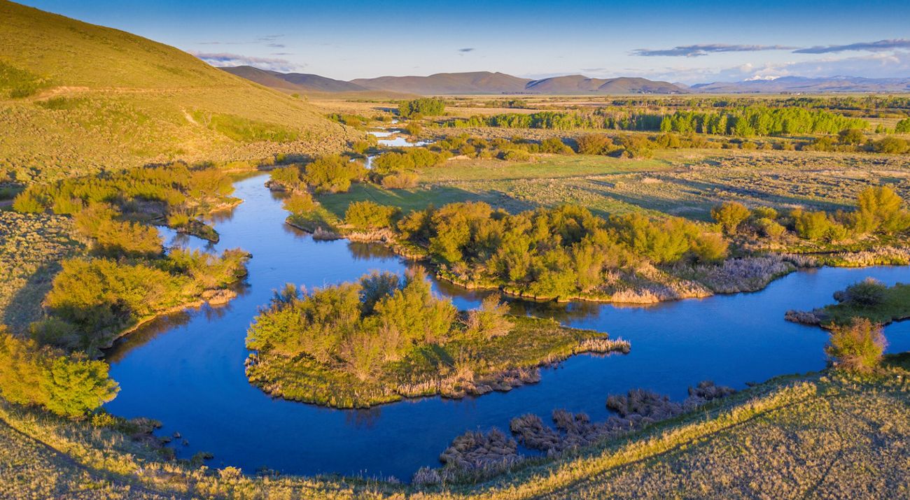 An aerial view features a mix of forest and river below.
