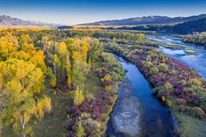 An overhead shot features a braided river surrounded by trees and shrubs in fall colors. 