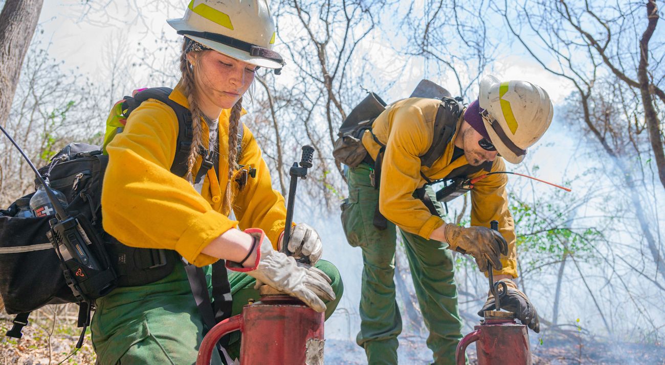 People conducting a prescribed burn.
