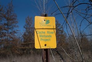 A vintage yellow TNC sign that reads, "The Nature Conservancy - Cache River Wetlands Project".