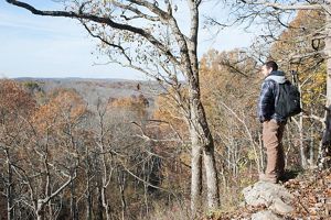 Caleb Grantham standing on the edge of Wildcat Bluff overlooking a vast landscape of trees under a blue sky.