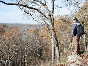 A person standing on Wildcat Bluff overlooking autumnal trees in southern Illinois.