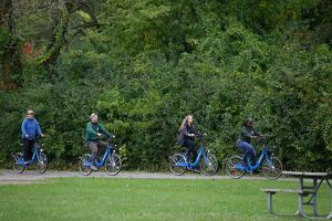 Four adults ride bikes on a tree-lined path.
