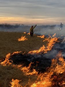 A historic photo of several men tending to a fire in a grassland.