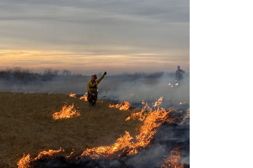 A worker prescribing a fire burn to a grassland.