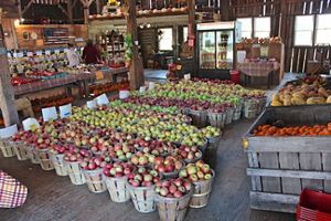 Many baskets of apples are set out at a farmer's market.