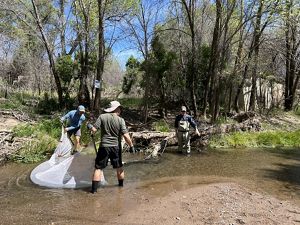 Three people are sein fishing with a white night while standing in shallow water with trees and vegetation around it.