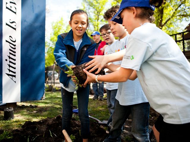 Goethe Elementary garden build