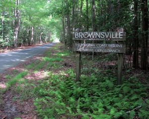 Preserve sign next to the paved road leading into Brownsville Preserve.