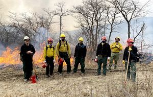 Seven people pose together in a line during a controlled burn. They are wearing yellow fire gear and some hold red drip torch canisters. Fire burns through the tall grass behind them.