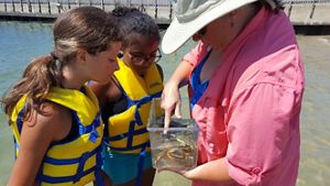 A woman and two children look at a small container holding water and live crabs.