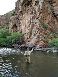 A man is standing in a river fly fishing.