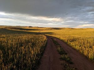 A landscape shot of a grass field.