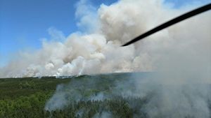Aerial view of a controlled burn. Thick white smoke billows above a wide expanse of forest. A helicopter rotor blade slices through the air.