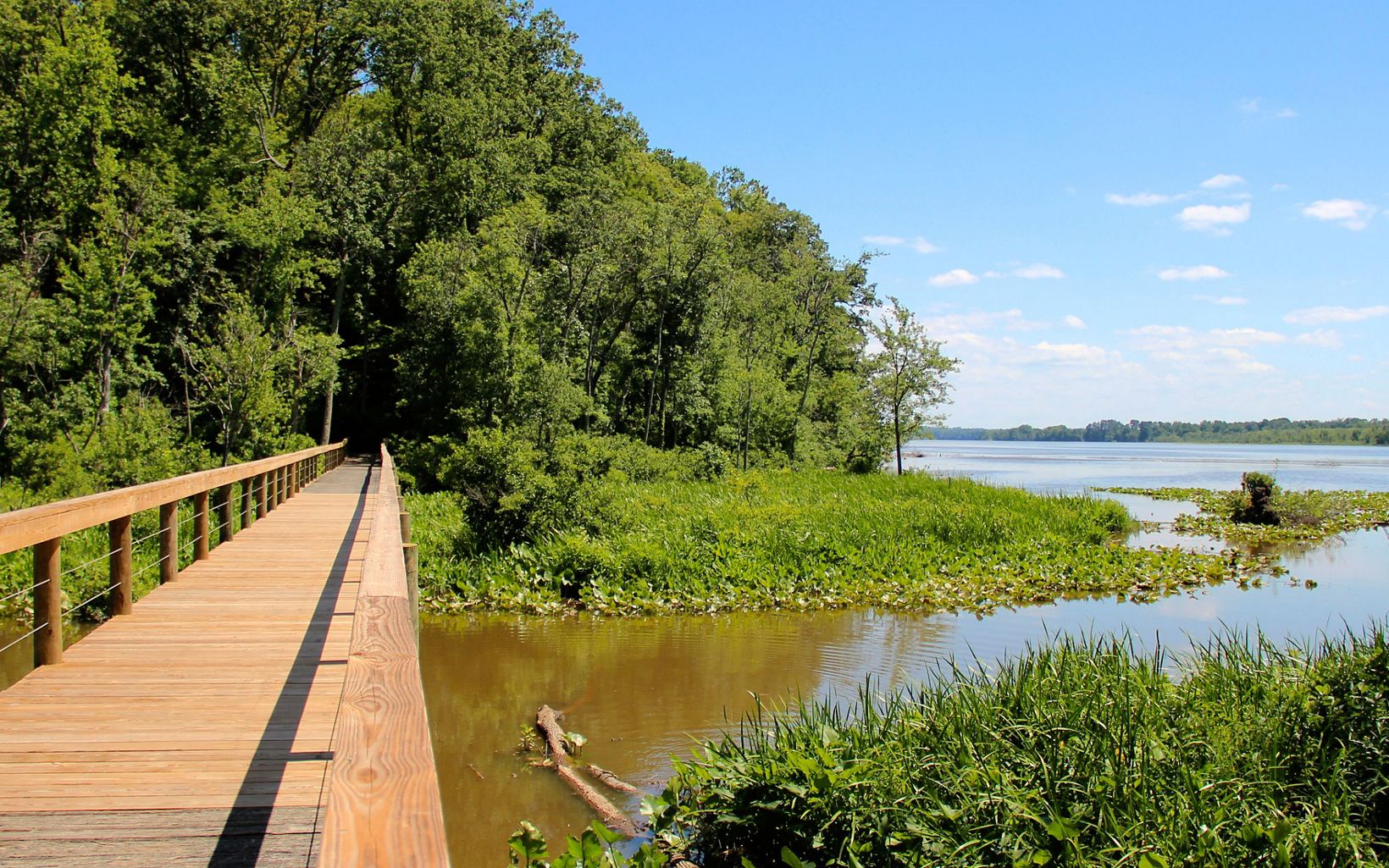 A wooden footbridge extends over open water and wetlands. The main branch of a river is visible in the background with a distant forest along the edges of the river bank.