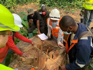 Men looking at a cut hollow log.