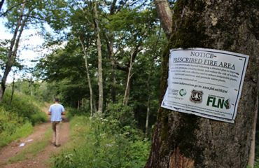 A sign reading Notice - Prescribed Fire Area is nailed to a tree in the foreground. In the background a man walks along a wide mountain trail under tall oak and pine trees.